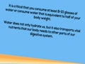 How Diet Affects your Teeth and Gums